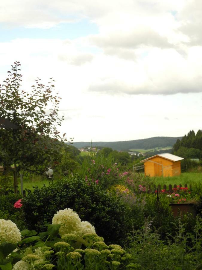 Villa Luzia Meuspath Exteriér fotografie